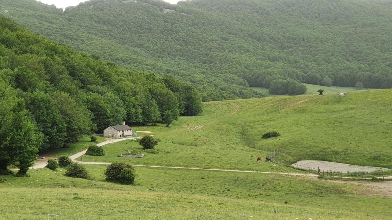Bed and Breakfast Casa Ciuffina Civitella Casanova Екстер'єр фото